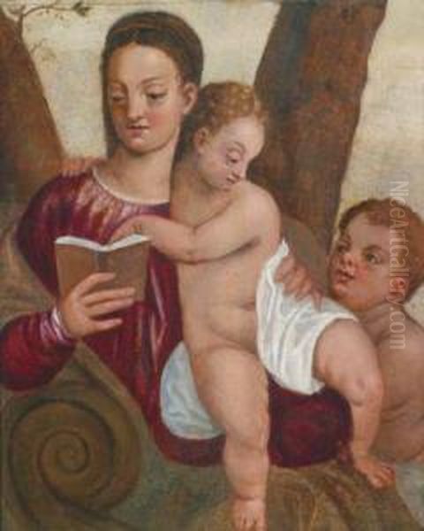 La Madonna Con Bambino E San Giovannino - view 1