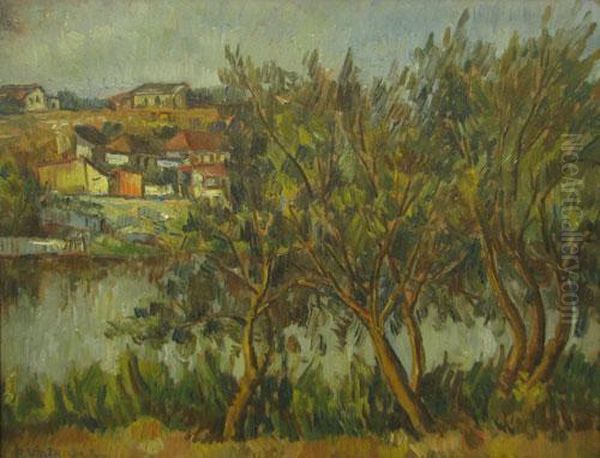 Copaci Pe Malul Apei - view 1