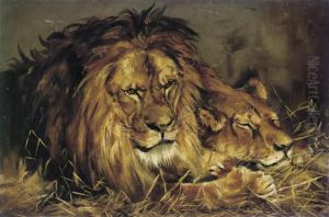 A Lion And Lioness Resting