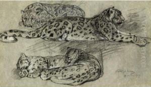 Lounging Leopards