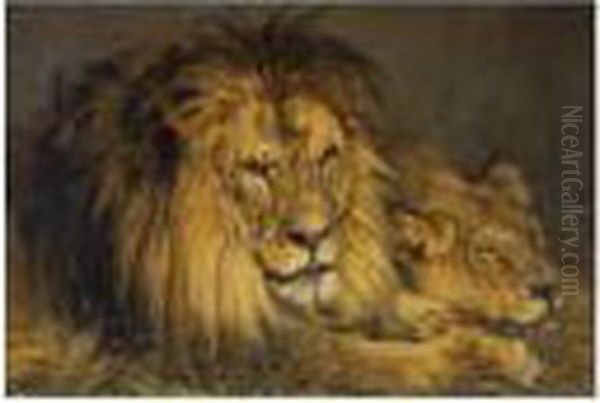 Lion And Lioness In Repose - view 1