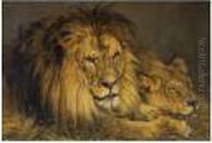 Lion And Lioness In Repose by Geza Vastagh