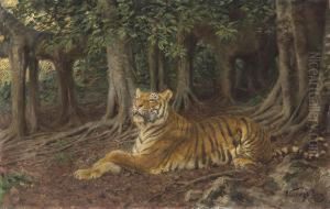 Reclining Tiger In The Woods by Geza Vastagh
