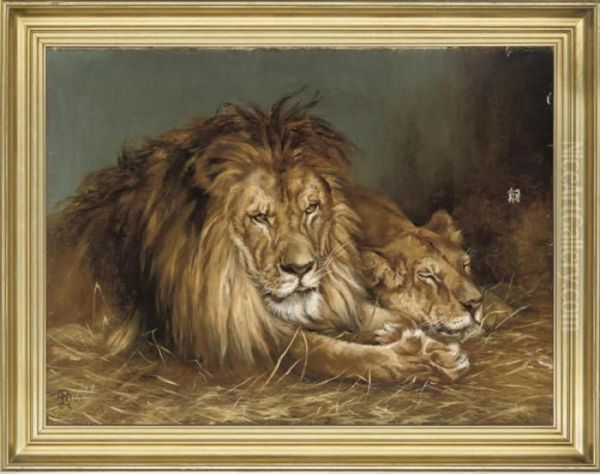A Lion And A Lioness - view 1