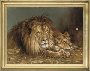 A Lion And A Lioness
