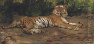 A Reclining Tiger by Geza Vastagh