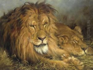 A Lion And A Lioness by Geza Vastagh