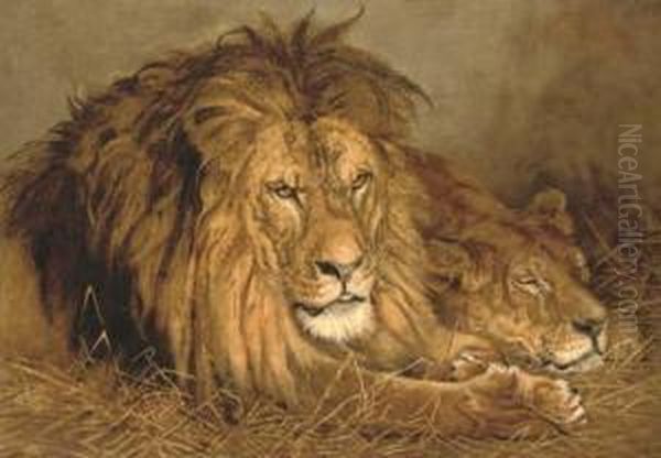A Lion And A Lioness - view 1