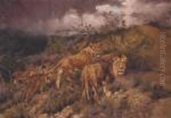 Family Of Lions - view 1