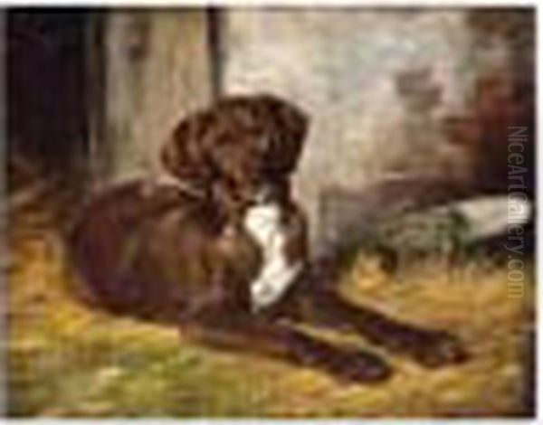 A Dog - view 1