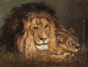 A Lion And Lioness Resting by Geza Vastagh