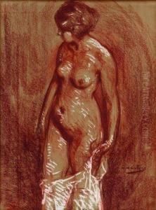 Jeune Femme Se Deshabillant