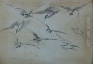 "estudio Para Gaviotas" by Carlos Vazquez Ubeda
