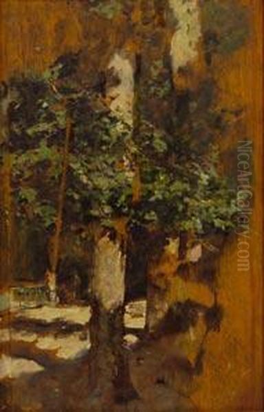 Arbol - view 1