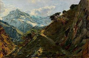 Vue De La Sierra Nevada, Andalousie by Carlos Vazquez Ubeda