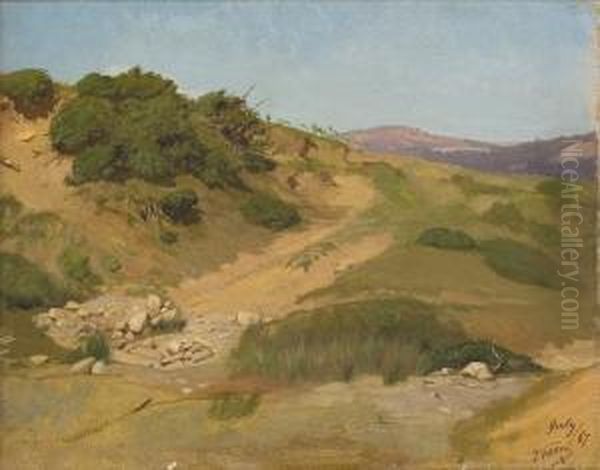 Sand Dunes - view 1
