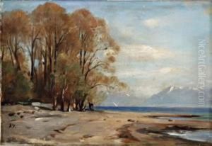 Bord De Lac Un Jour De Bise by Auguste Louis Veillon