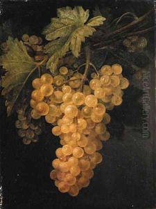 A bunch of white grapes on the vine