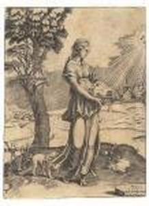 The Cumaen Sybil<</b> by Agostino dei Musi