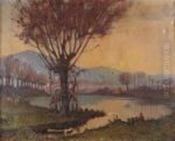 Pascolo Lungo Il Laghetto - view 1