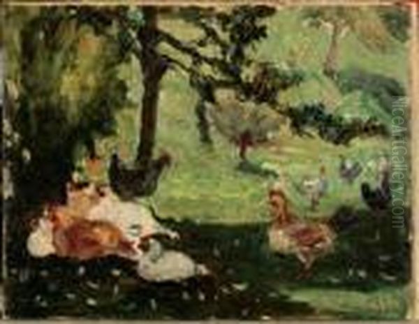 Galline Nel Prato - view 1