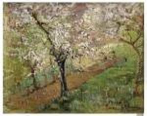 "mandorli In Fiore" 1918