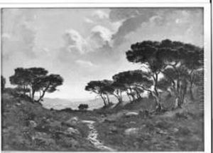Chemin Dans La Pinede by Raymond Jean Verdun