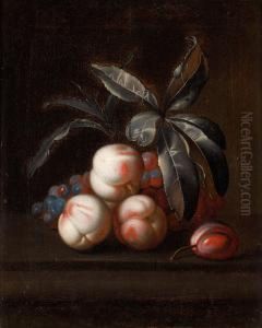 Stilleben Med Persikor, Plommon Och Vindruvor by Simon Pietersz. Verelst