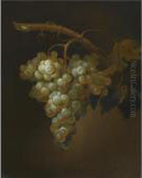 Still Life With A Bunch Of Grapes On A Vine - view 1