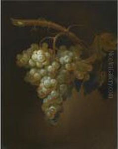 Still Life With A Bunch Of Grapes On A Vine by Simon Pietersz. Verelst