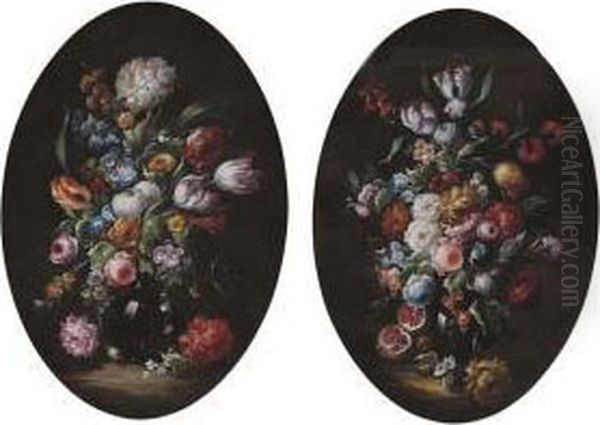Still Life - view 1