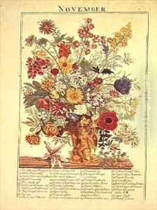 November from Flower Garden Displayed by Robert Furber