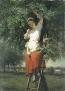 Dekersenplukster by Francois Verheyden