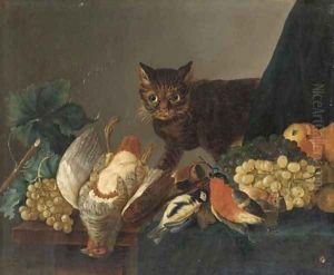 A dead partridge