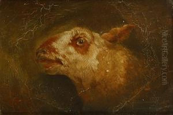 Chevre - view 1