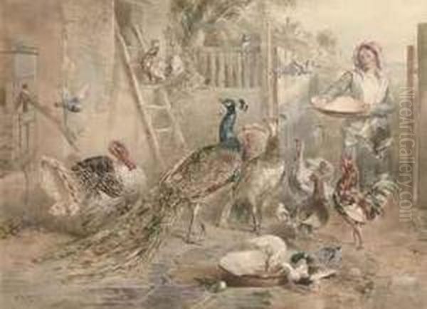 Feeding Time - view 1