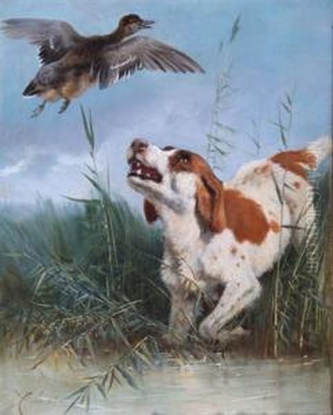 A Brittany Spaniel And Gadwall - view 1