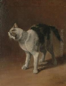 A Study Of A Black And White Cat by Charles Verlat