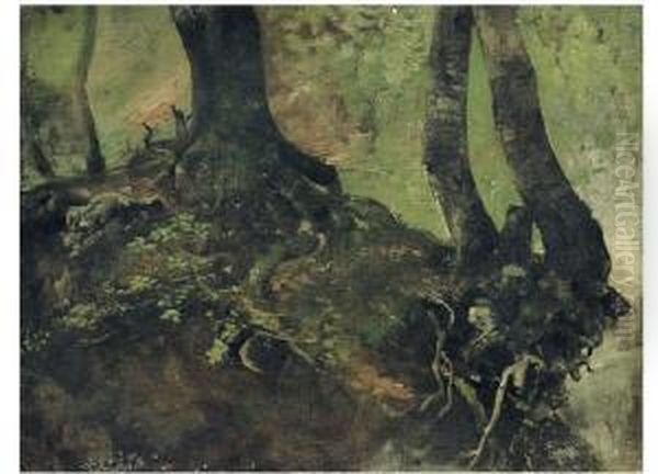 Studio Di Alberi - view 1