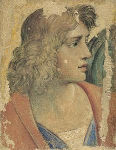 Testa Di Giovane - view 1