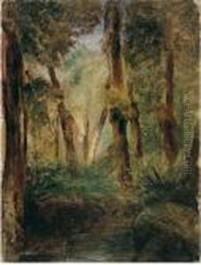 Paesaggio Con Bosco Paesaggio Con Bosco