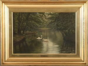 A Forest Lake With A Couple Of Swans by Sophus Vermehren