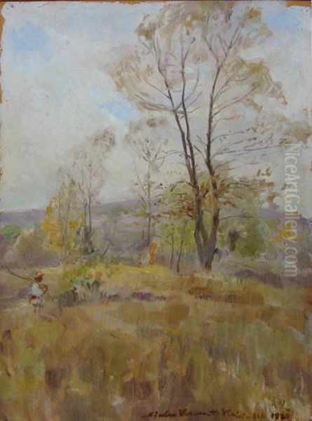 Peisaj La Vlaici - Olt - view 1