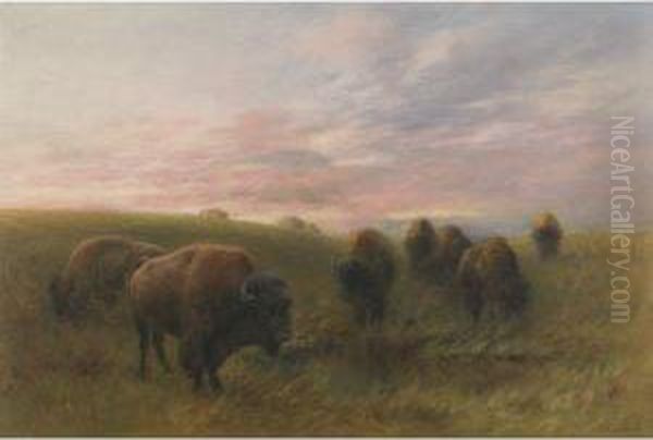 Buffalo Watering Hole - view 1