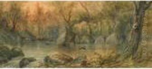 Birds In Flight Over A Forest Pool