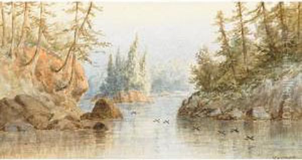 Lake Chebatiohoun - view 1