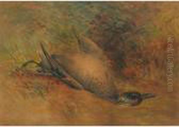 Study Of A Duck - view 1