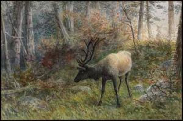 Caribou - view 1