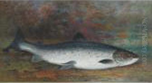 Speckled Trout - view 1