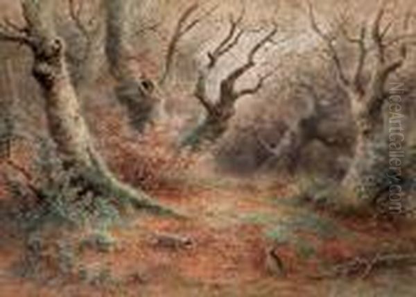 Autumn - Beech Woods - view 1